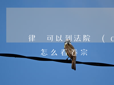 律師可以到法院調(diào)看卷宗嗎(律師怎么看卷宗)