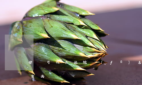 律師可以去法院發(fā)名片嗎(律師名片背面)