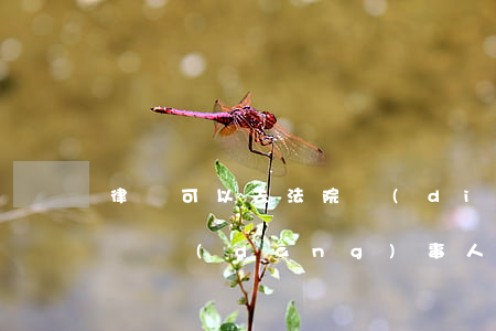 律師可以去法院調(diào)取庭審筆錄嗎(當(dāng)事人有權(quán)調(diào)取庭審筆錄嗎?)