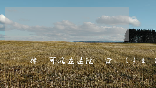 律師可以在法院門口發(fā)名片嗎