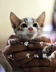 律師可以完全代理委托人仲裁嗎(只有律師才可以被委托為訴訟代理人嗎?)