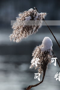 律師可以完全代理當(dāng)事人打官司嗎(律師可以個(gè)人接官司嗎?)