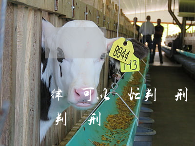律師可以幫忙判緩刑嗎(請(qǐng)律師判緩刑)
