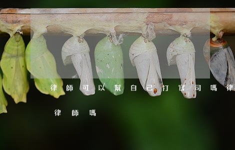 律師可以幫自己打官司嗎(律師打官司還要請律師嗎)