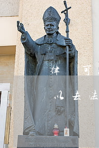 律師可以復(fù)制法院的案卷嗎(律師可以去法院查別人的案卷嗎)
