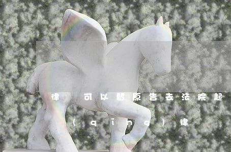 律師可以替原告去法院起訴嗎(去法院起訴要請(qǐng)律師嗎?還是自己去起訴就可以?)
