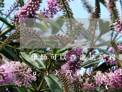 律師可以查違法記錄嗎(律師有資格查對(duì)方個(gè)人信息嗎)