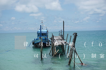 律師可以查閱和復(fù)印所有案卷嗎(律師可以復(fù)制案卷嗎)