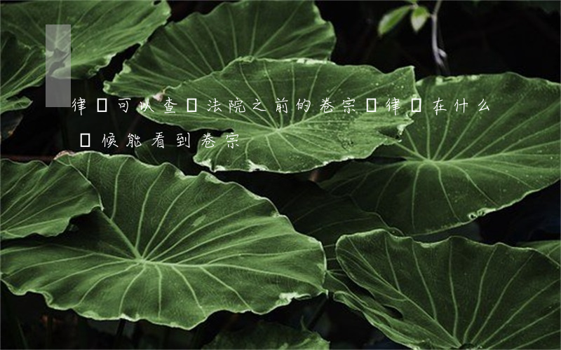 律師可以查閱法院之前的卷宗嗎(律師在什么時候能看到卷宗)