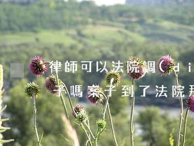 律師可以法院調(diào)出你以前的案子嗎(案子到了法院那律師能做些什么事)
