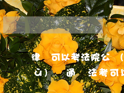 律師可以考法院公務(wù)員嗎(公務(wù)員通過法考可以申請律師)