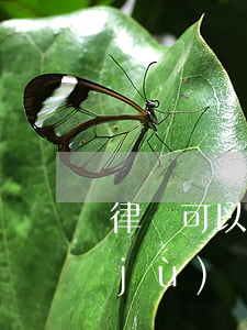 律師可以調(diào)閱法院存檔證據(jù)嗎(律師去法院調(diào)檔案需要什么手續(xù))
