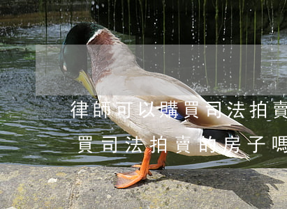 律師可以購買司法拍賣的房子嗎(律師可以購買司法拍賣的房子嗎)