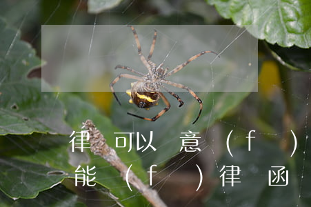 律師可以隨意發(fā)律師函嗎(律師個人能發(fā)律師函嗎)