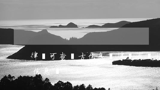 律師可查對方信息嗎(律師有資格查對方個人信息嗎)