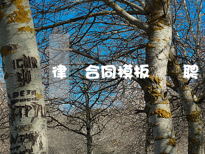 律師合同模板匯編(聘請律師合同文書模版)