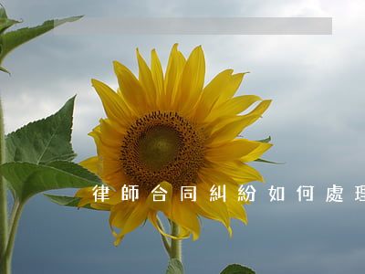律師合同糾紛如何處理