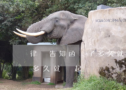 律師告知函來了多久就會起訴(律師函件來了多久就會起訴)