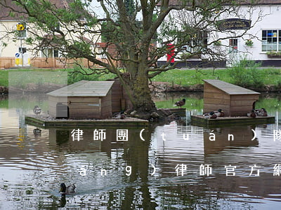律師團(tuán)隊(duì)師網(wǎng)(律師官方網(wǎng)站)