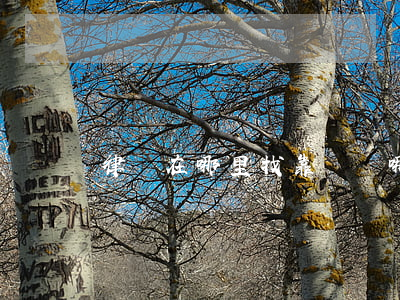 律師在哪里找靠譜(從哪里找律師靠譜)