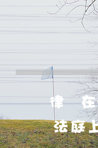 律師在法庭上說(shuō)謊怎么處理?(在法庭上說(shuō)謊是什么后果)
