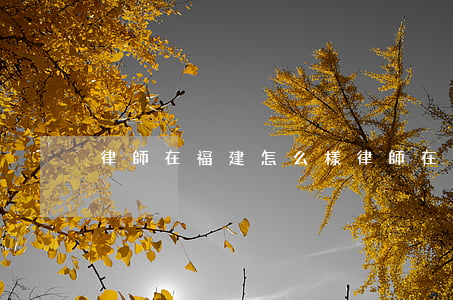 律師在福建怎么樣(律師在福建怎么樣)