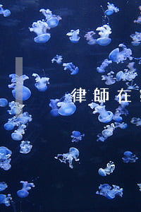 律師在第二階段作用大不大
