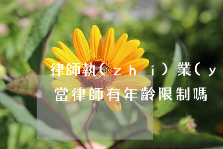 律師執(zhí)業(yè)年齡有限制嗎(當律師有年齡限制嗎)