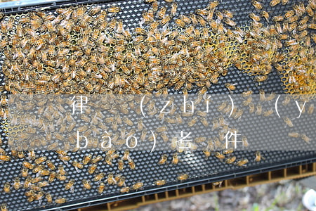 律師執(zhí)業(yè)資格考試報(bào)考條件