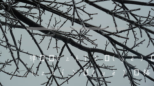 律師執(zhí)業(yè)資格證(律師執(zhí)業(yè)資格證注銷)