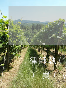 律師執(zhí)照難考嗎(律師執(zhí)業(yè)證書難考嗎)