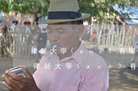 律師大學(xué)有哪些學(xué)校(律師大學(xué)有哪些學(xué)校985)