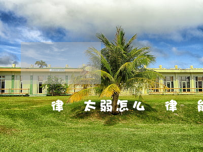 律師太弱怎么辦(律師能力不行怎么辦)
