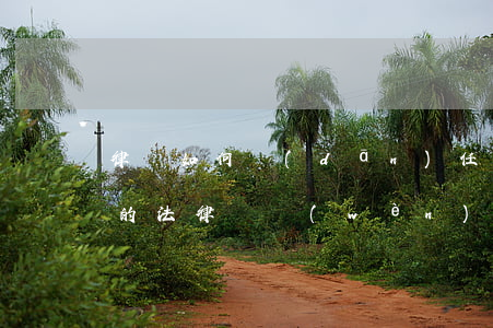 律師如何擔(dān)任醫(yī)療公司的法律顧問(wèn)
