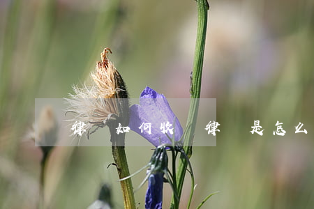 律師如何收費，律師是怎么收取費用的