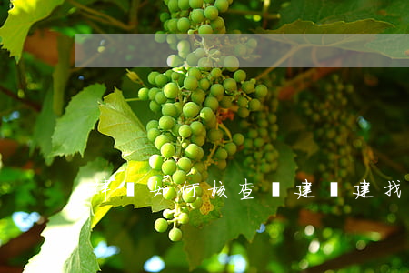 律師如何核查違建(違建找哪個部門處理)
