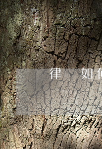 律師如何考(律師證怎么考需要什么條件)