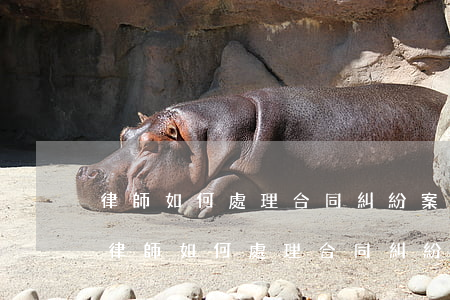 律師如何處理合同糾紛案件費(fèi)用(律師如何處理合同糾紛案件費(fèi)用)