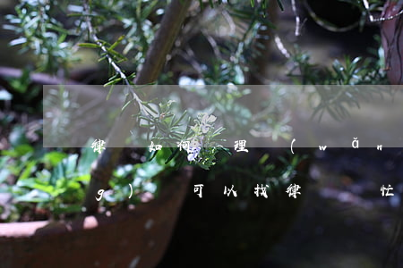 律師如何處理網(wǎng)貸(網(wǎng)貸可以找律師幫忙處理嗎)