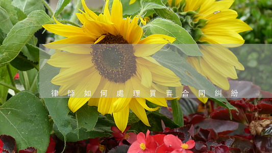 律師如何處理買賣合同糾紛