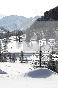 律師委托協(xié)議書怎么寫(怎樣和律師簽委托協(xié)議)