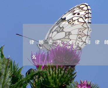 律師委托合同(和律師簽委托合同需要注意什么)