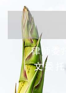 律師委托書(shū)怎么寫(xiě)范文(委托律師函怎么寫(xiě))