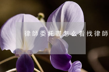 律師委托書怎么看(找律師寫委托書多少錢)