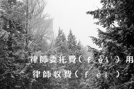 律師委托費(fèi)用一般怎么繳納(委托律師收費(fèi))