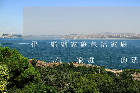 律師婚姻家庭包括家庭財產(chǎn)糾紛嗎(有關家庭糾紛的法律)