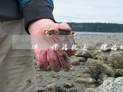 律師嫖娼犯法嗎(嫖娼被拘留找律師有用嗎)