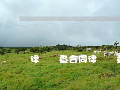 律師審查合同(律師審查合同意見書)