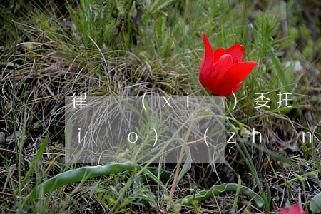 律師寫(xiě)委托書(shū)標(biāo)準(zhǔn)多少錢(qián)(找律師寫(xiě)委托書(shū)多少錢(qián))