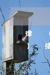 律師寫(xiě)律師函需要收費(fèi)嗎(法律顧問(wèn)律師函要收費(fèi)嗎)